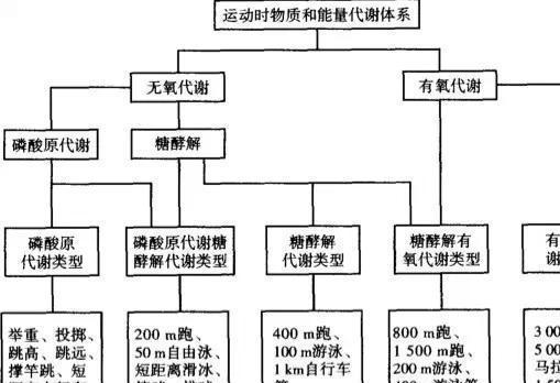 火狐电竞官方网站火狐电竞app首页健身须知：如何判断减脂减肥运动的效果？(图2)