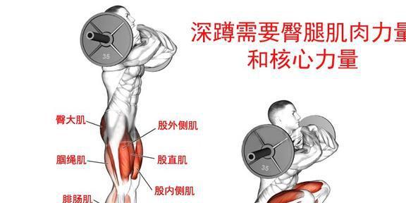 火狐电竞官方网站健身初阶：深蹲一倍体重你也能做到(图2)